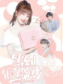 等到银色满季