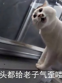 末世之拯救幸存者小队