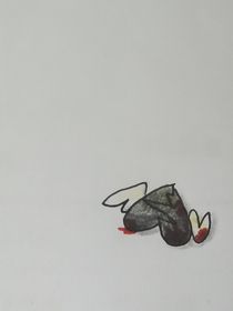 pepoyooc——私生子——心电图哥哥