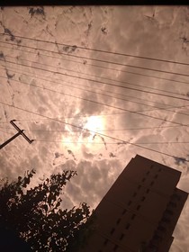 修仙：終是殊途
