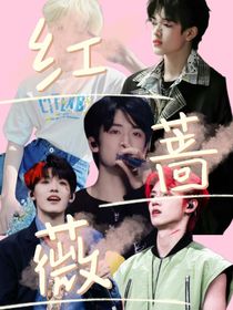 TF家族：紅薔薇