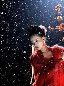 假如马尔泰若曦是四爷，侧福晋