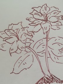哈利波特之挽救