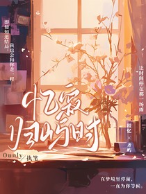 忆寂归屿时