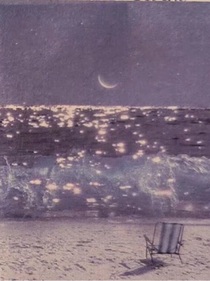 摇曳的玫瑰