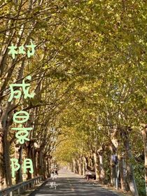 树成景阴