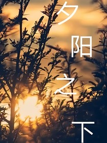 TNT：夕阳之下