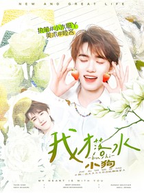 这是我的岛：我才不是落水小狗！