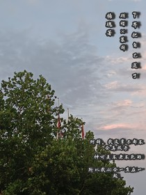 下界把自己送了
