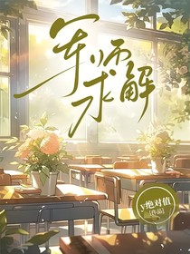 军师求解