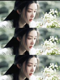 綜影視：寧歌渡