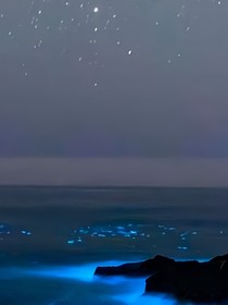 虛鐘文姓（武行篇）