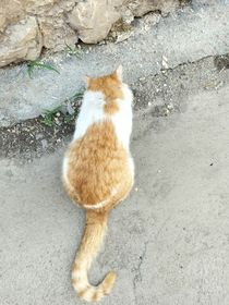 续写属于我们的故事