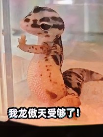 维护道德