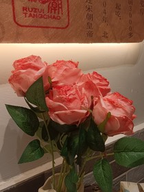 ——以爱为名