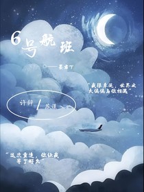 六号航班