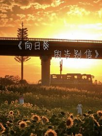 向日葵的告別信