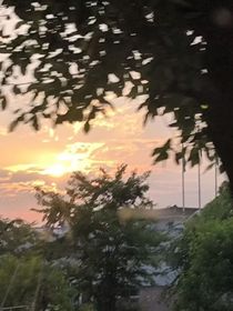 林深知深