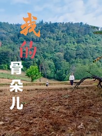 我的骨朵儿