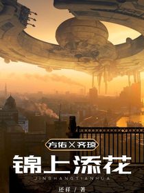 我只覺得錦上添花