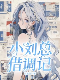 小刘总借调记