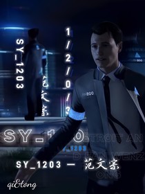 SY—1203