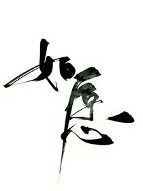 一個(gè)回家的理由