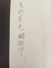 我的呆毛酪饭-d566