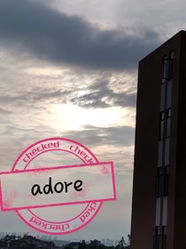 adore（回忆）