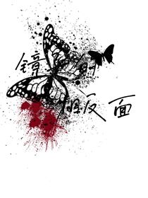 镜子的反面