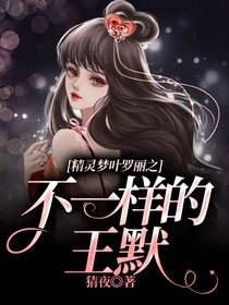 精靈夢(mèng)葉羅麗之不一樣的王默