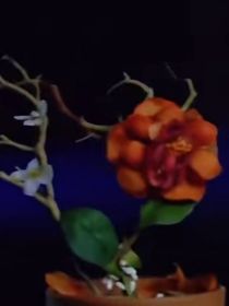 祺源：末路狂花
