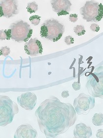 CH：假