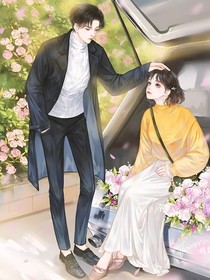 陸少的公主殿下
