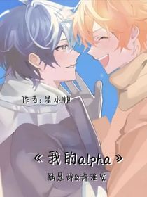 我的合法alpha先生