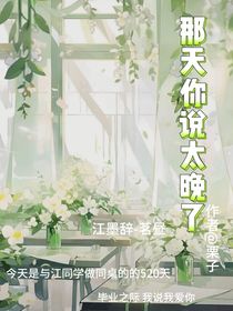 那天你說太晚了