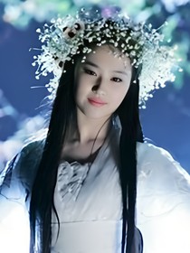 特种兵之火凤凰：穿越的张家人