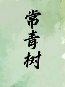 常青树下你和我