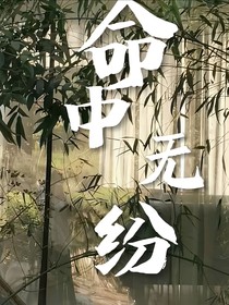 命中无纷