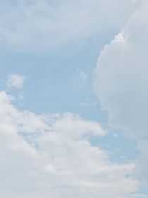 恶劣行为禁止模仿