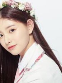 全明星：拽姐的美男后宮