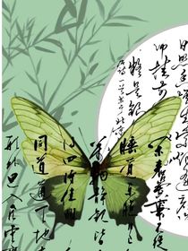 墨汐专属小说