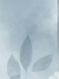 穿成笔下反派如何自救