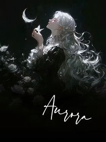 Aurora战队