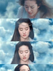 墨雨云间：婉君大长公主