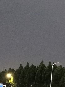 暴雨后末日来了