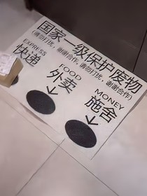 文豪野犬之cos幼时织田作的神经