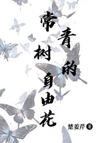 常青樹的自由花