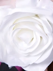 薔薇與鰥夫