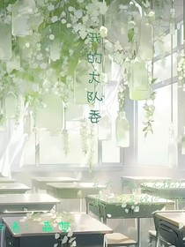 我的大队委